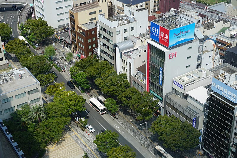 1561129688765488.jpg NANJINJIRUGUO011.jpg
